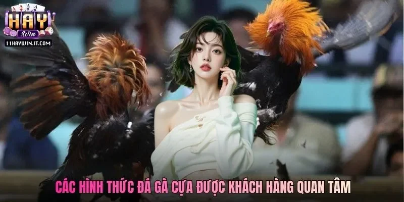 Các hình thức đá gà cựa được khách hàng quan tâm
