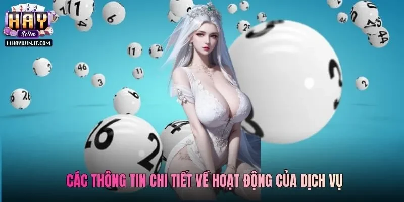 Các thông tin chi tiết về hoạt động của dịch vụ