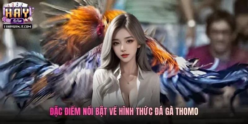 Đặc điểm nổi bật về hình thức đá gà Thomo
