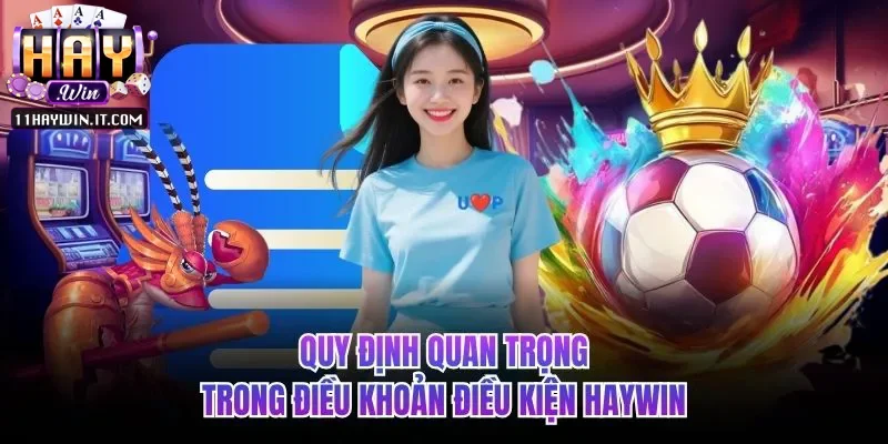 Quy định quan trọng trong điều khoản điều kiện Haywin