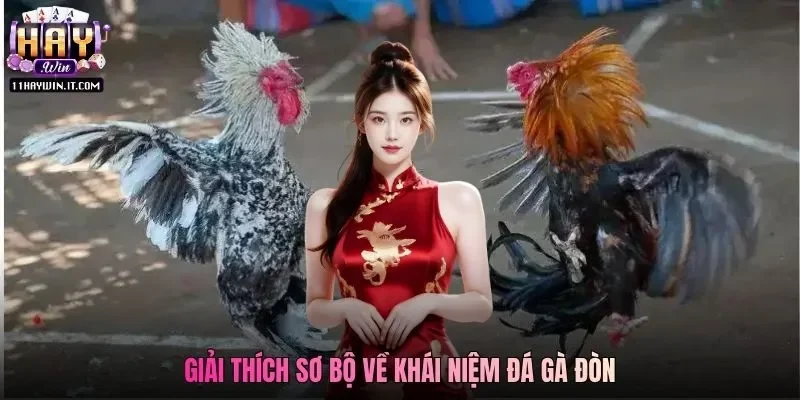 Giải thích sơ bộ về khái niệm đá gà đòn