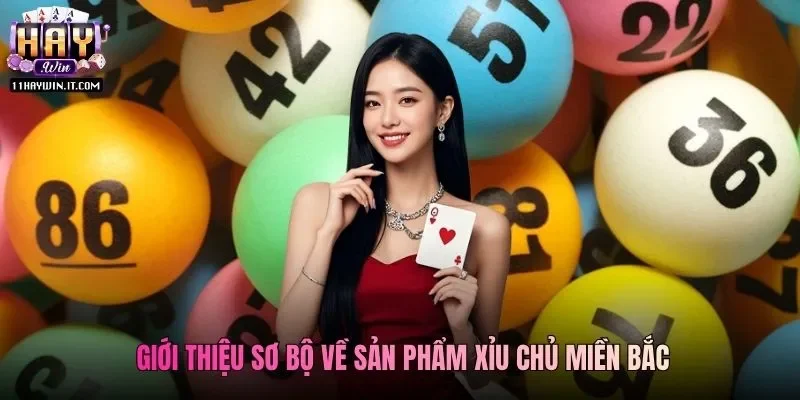 Giới thiệu sơ bộ về sản phẩm Xỉu Chủ Miền Bắc