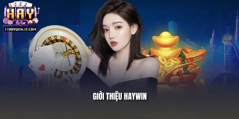 Tổng quan về nền tảng Haywin