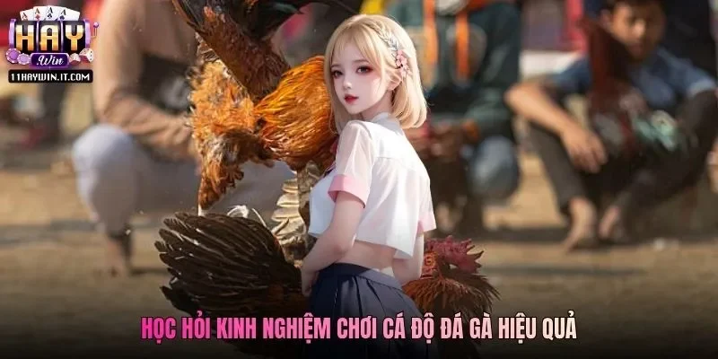 Học hỏi kinh nghiệm chơi cá độ đá gà hiệu quả