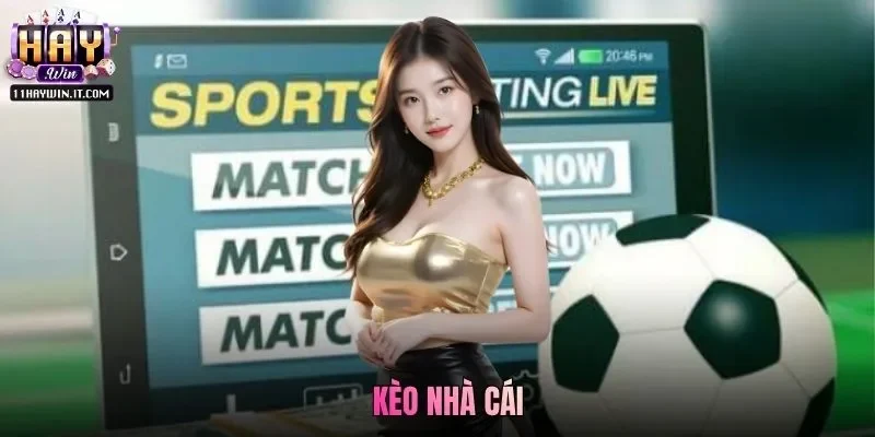 Kèo Nhà Cái Haywin - Khám Phá Hệ Thống Cược Uy Tín