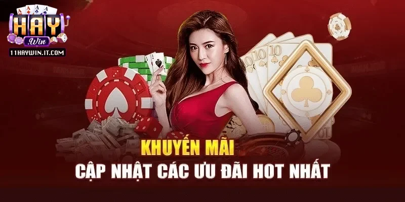 Tin tức cập nhật sự kiện và chương trình ưu đãi Haywin