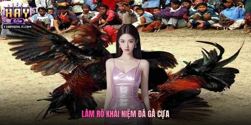 Làm rõ khái niệm đá gà cựa