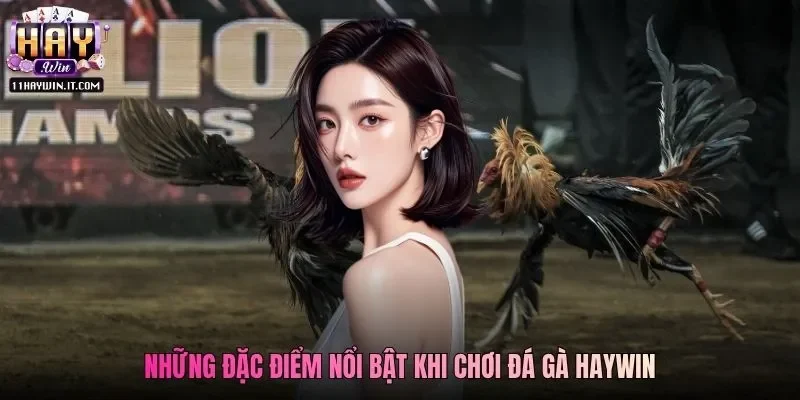 Những đặc điểm nổi bật khi chơi đá gà Haywin