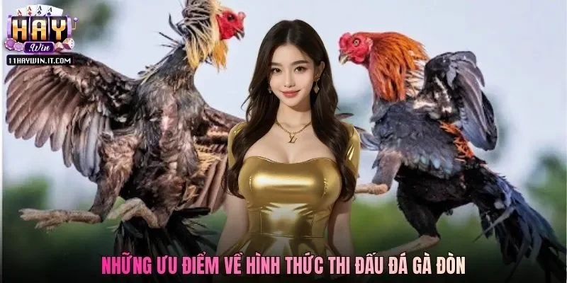 Những ưu điểm về hình thức thi đấu đá gà đòn