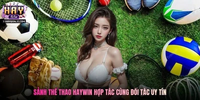 Sảnh thể thao Haywin hợp tác cùng đối tác uy tín