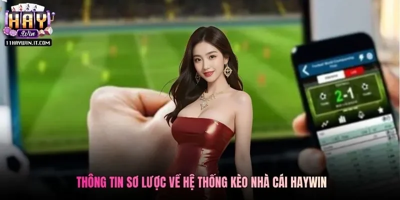 Thông tin sơ lược về hệ thống kèo nhà cái Haywin
