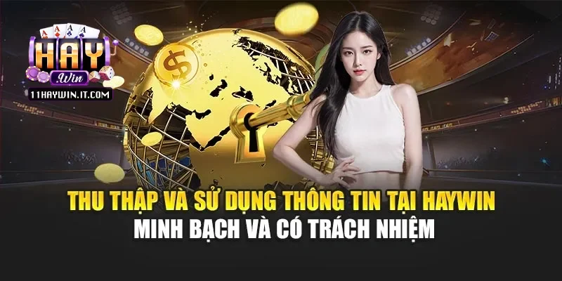 Cách Haywin thu thập và sử dụng thông tin