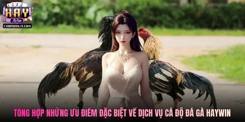 Tổng hợp những ưu điểm đặc biệt về dịch vụ cá độ đá gà Haywin