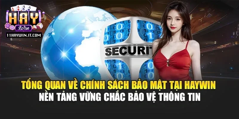 Tổng quan về chính sách bảo mật tại Haywin